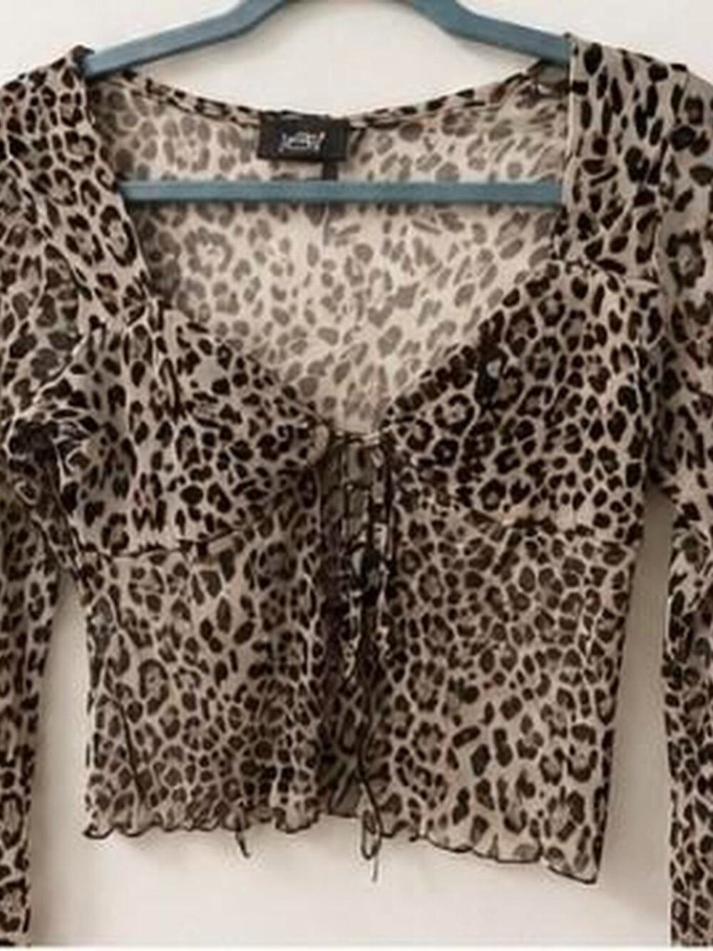 Leopard Print Square Neck Front Tie Mesh Long Sleeve Cropped Top